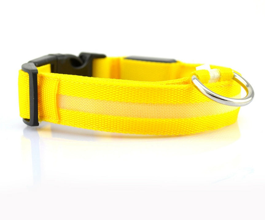 Pawsitive4s LED light-up glow dog collar night safety – green, S, product with pet