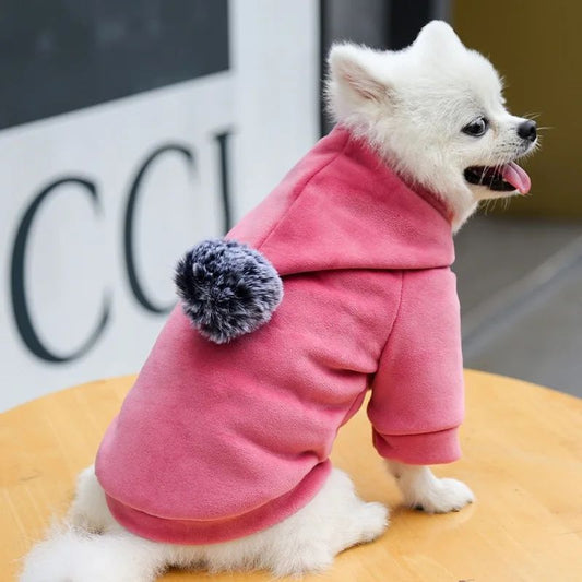 Pawsitive4s hooded fleece pet coat winter jacket dogs cats – Blue, XS, size comparison