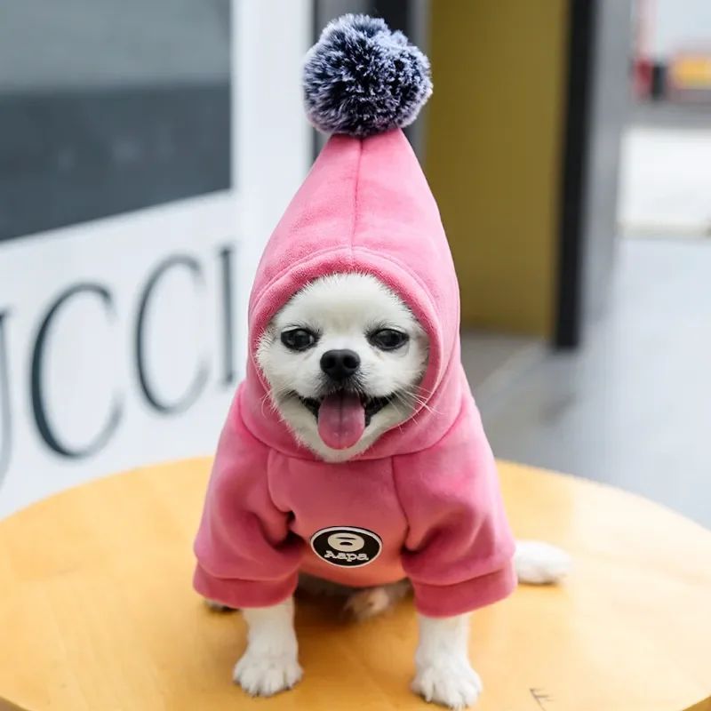 Pawsitive4s hooded fleece pet coat winter jacket dogs cats – Gray, L, packaging