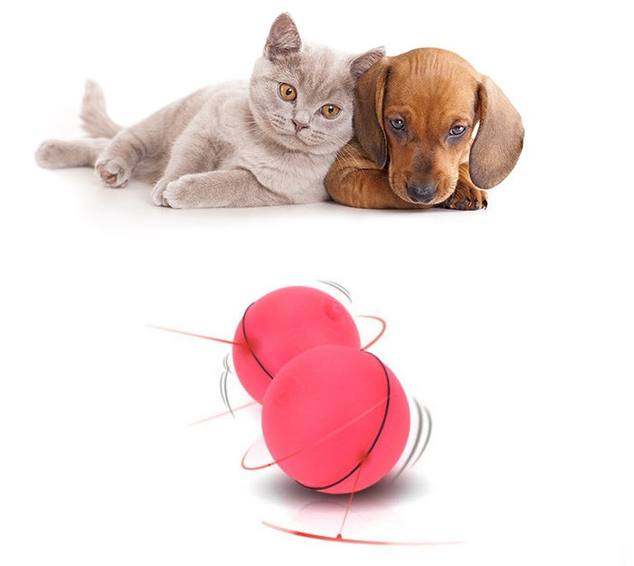 Pawsitive4s LED laser electronic rolling cat toy ball – PinkRecharge, in use