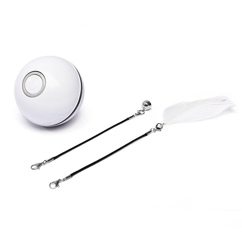 Pawsitive4s LED laser electronic rolling cat toy ball – branding detail