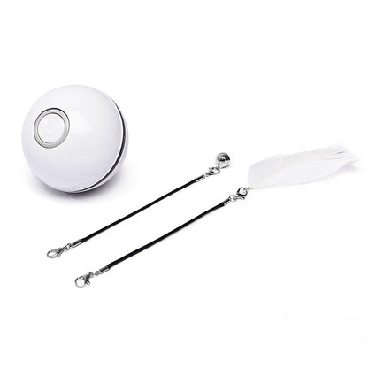 Pawsitive4s LED laser electronic rolling cat toy ball – branding detail