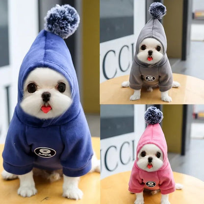 Pawsitive4s hooded fleece pet coat winter jacket dogs cats – Blue, XXL, colour options