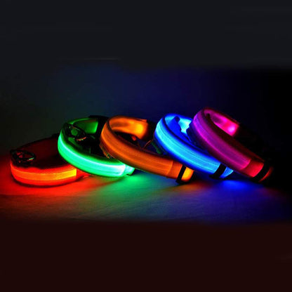Pawsitive4s LED light-up glow dog collar night safety – Seven colors, L, side angle
