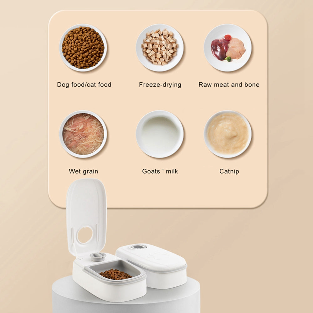 Pawsitive4s smart timed automatic pet feeder stainless steel bowl – Pink, Single meal, in use