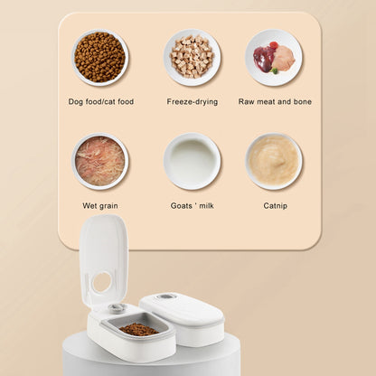 Pawsitive4s smart timed automatic pet feeder stainless steel bowl – Pink, Single meal, in use