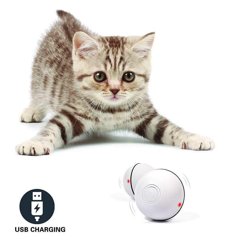 Pawsitive4s LED laser electronic rolling cat toy ball – WhiteRecharge, lifestyle shot