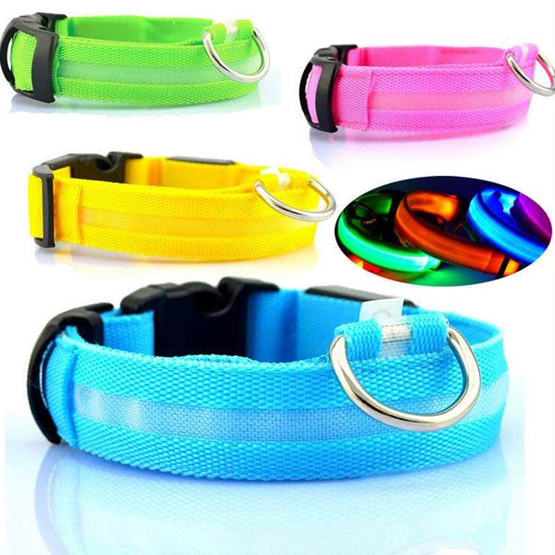 Pawsitive4s LED light-up glow dog collar night safety – Seven colors, L, front view