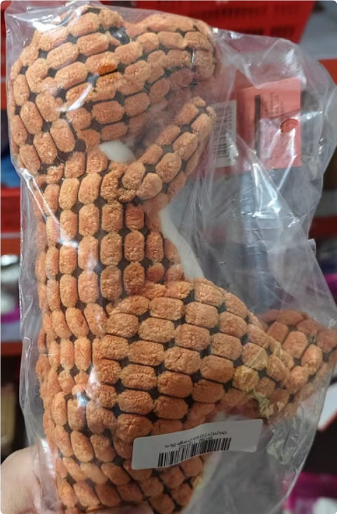 Pawsitive4s dinosaur squeaky plush chew toy dogs – features close-up