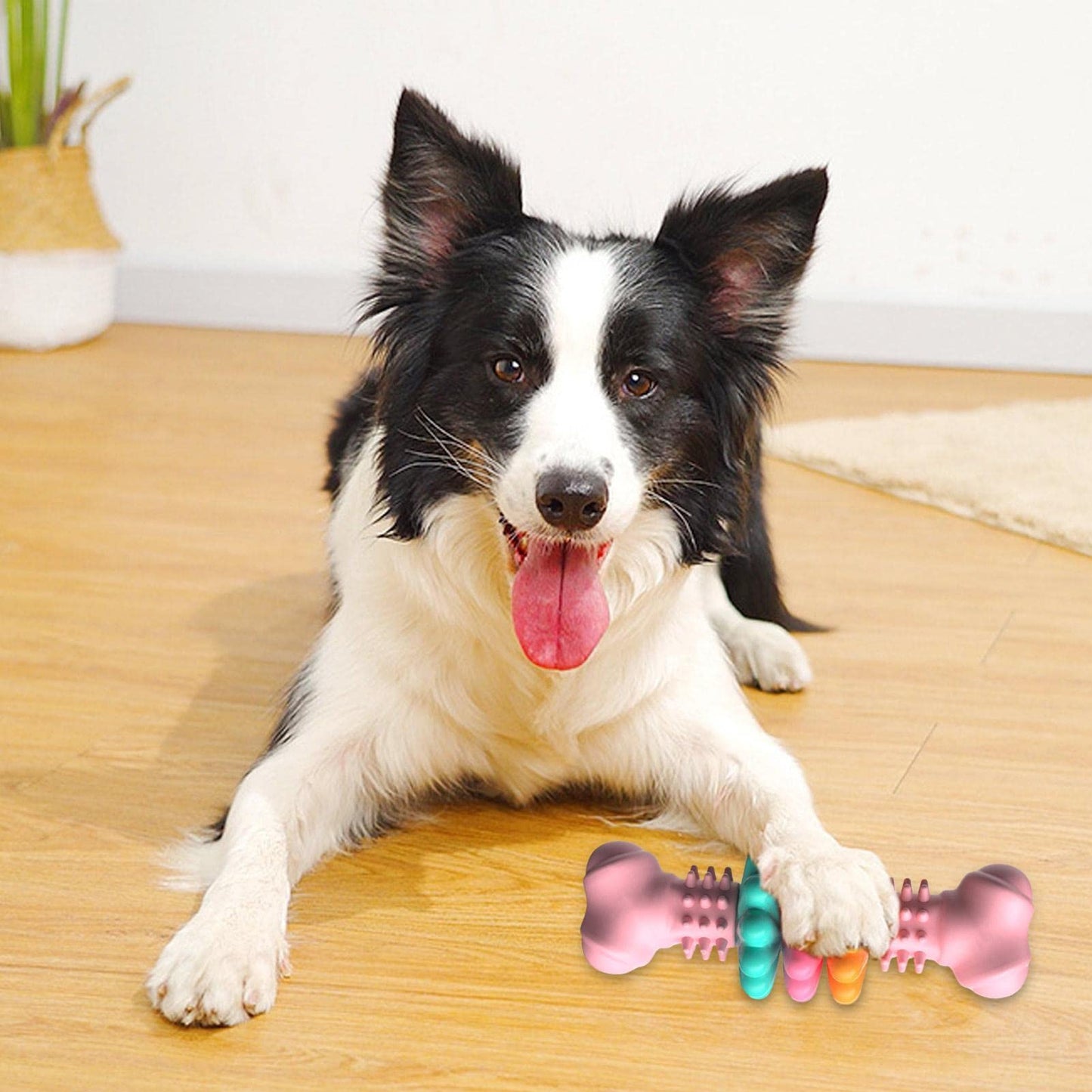Durable TPR Bone Chew Toy - Cleans Teeth & Massages Gums