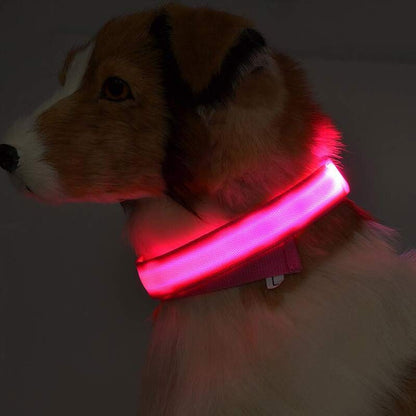 Pawsitive4s LED light-up glow dog collar night safety – Seven colors, S, size comparison