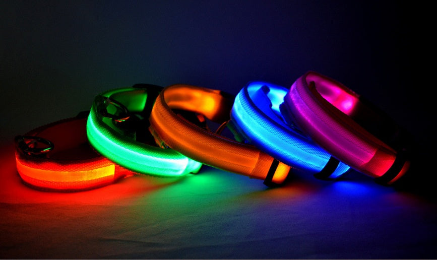 Pawsitive4s LED light-up glow dog collar night safety – Seven colors, M, in use