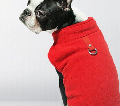 Pawsitive4s polar fleece dog jumper fluffy winter jacket – Blue, L, front view