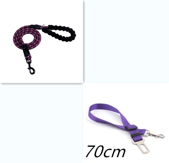 Pawsitive4s reflective nylon dog lead walking leash – accessory detail