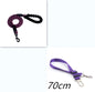 Pawsitive4s reflective nylon dog lead walking leash – accessory detail