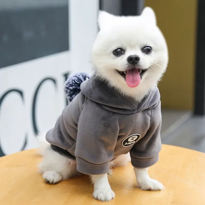 Pawsitive4s hooded fleece pet coat winter jacket dogs cats – Gray, XL, top view