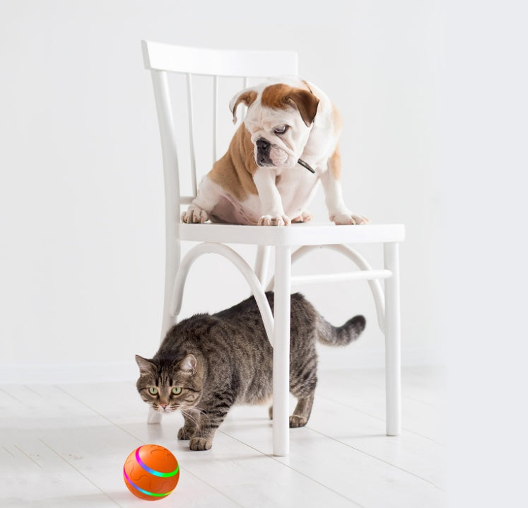Pawsitive4s smart self-rotating interactive cat ball toy – Orange, Set, side angle
