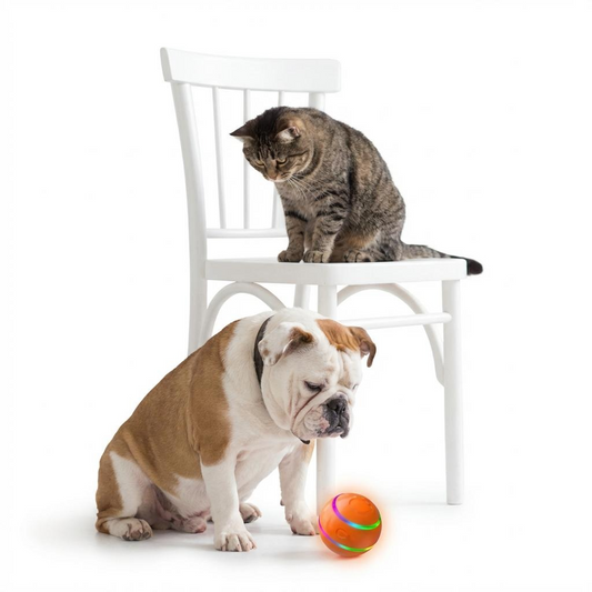 Automatic Rolling Cat Ball - Interactive USB Toy