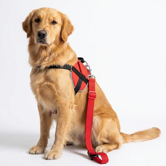 Adjustable Dog & Cat Car Seat Belt - Secure Vehicle Restraint