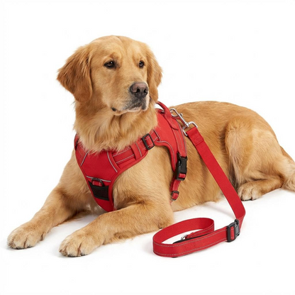 Adjustable Dog & Cat Car Seat Belt - Secure Vehicle Restraint
