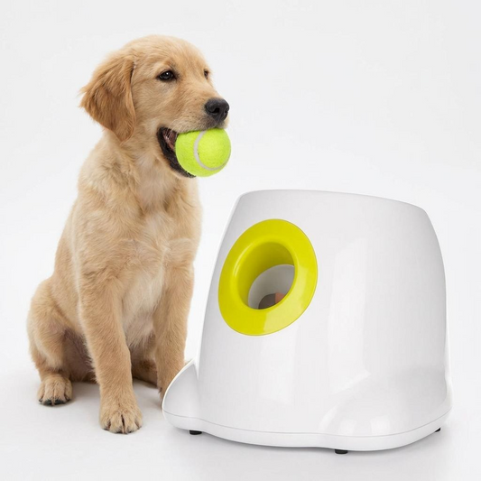 Automatic Dog Ball Launcher - Adjustable Distance Fetch Machine