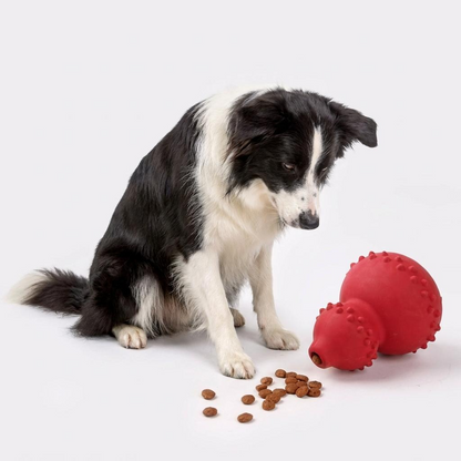 Natural Rubber Treat-Dispensing Toy - Bite-Resistant Dental Ball