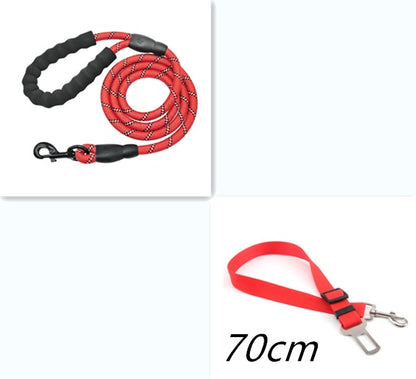 Pawsitive4s reflective nylon dog lead walking leash – multi-angle view