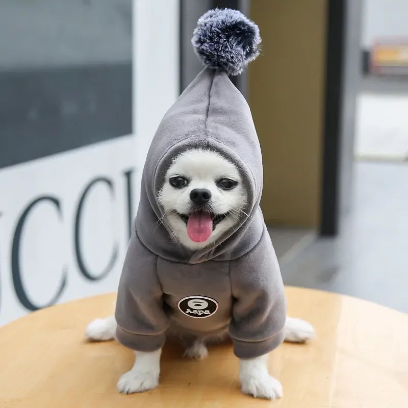Pawsitive4s hooded fleece pet coat winter jacket dogs cats – Gray, M, lifestyle shot