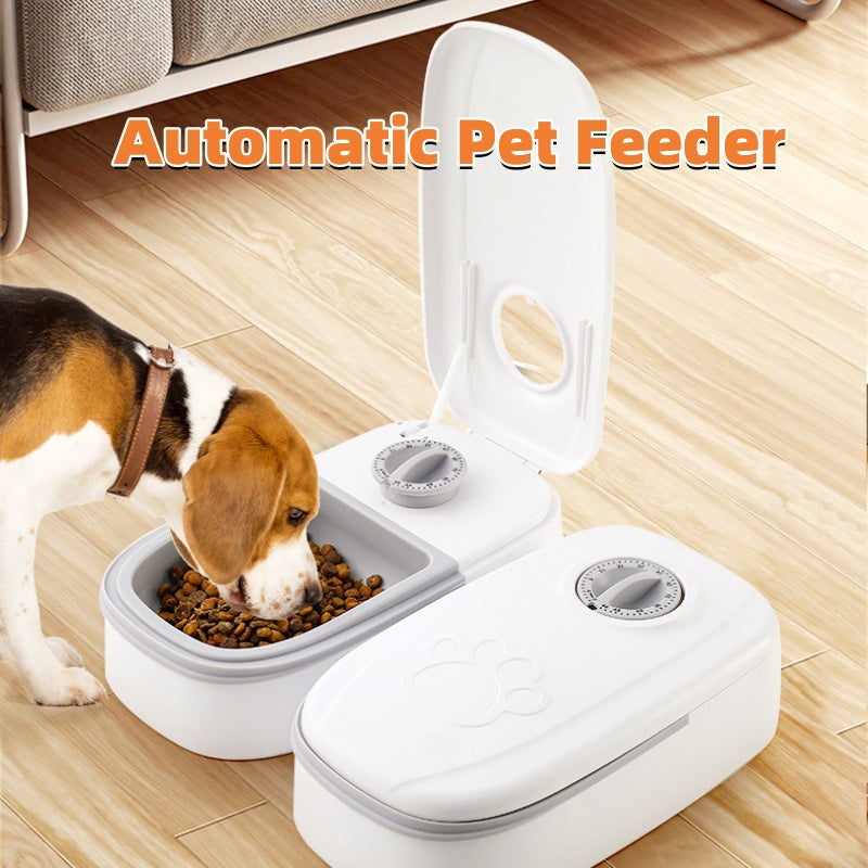 Pawsitive4s smart timed automatic pet feeder stainless steel bowl – Grey, Double meal, front view